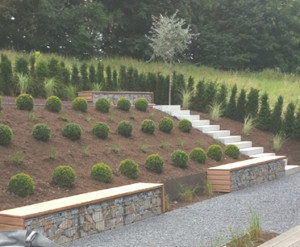 Garten kurz nach der Fertigstellung