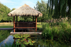 Ein Schwimmteich mit Pavillon.