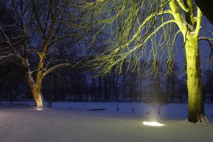 Bodenstrahler im Schnee