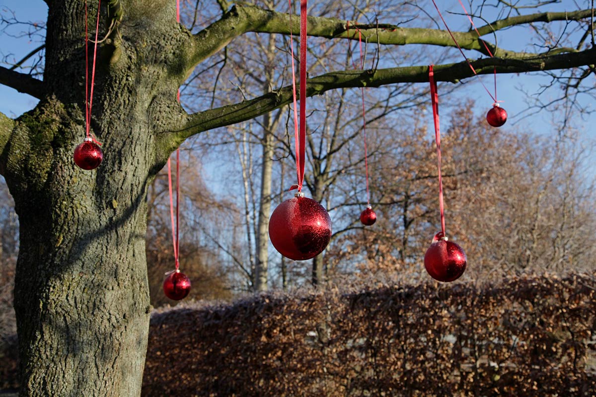 Rote Weihnachtskugeln schmücken einen winterlichen Laubbaum